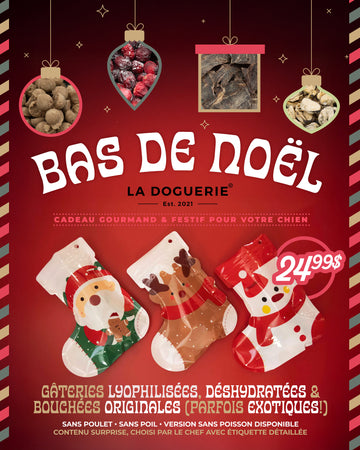 Bas de Noël La Doguerie®