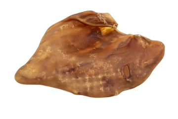 Oreille de porc