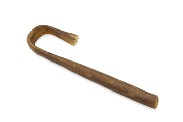 Collagène de boeuf canne