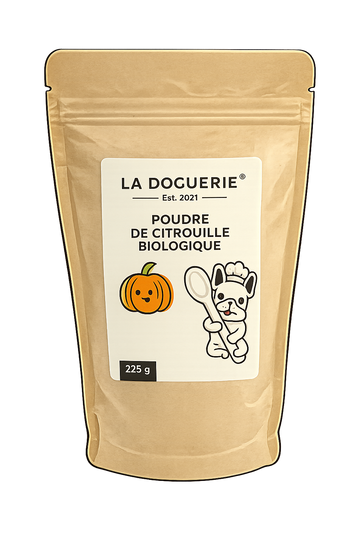 Poudre de citrouille biologique -225g