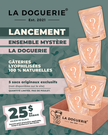 Ensemble mystère gâteries exclusives - La doguerie®