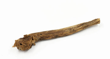 Bully stick de buffle 12 po