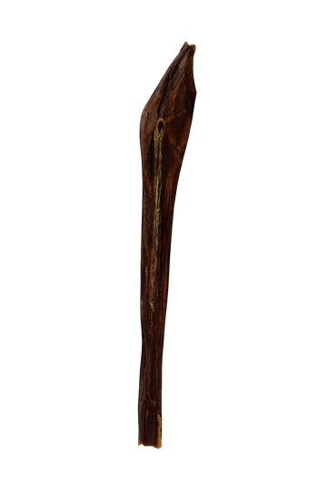 Bâton d'oesophage de boeuf 12 po