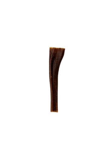 Bâton d'oesophage de boeuf 6 po