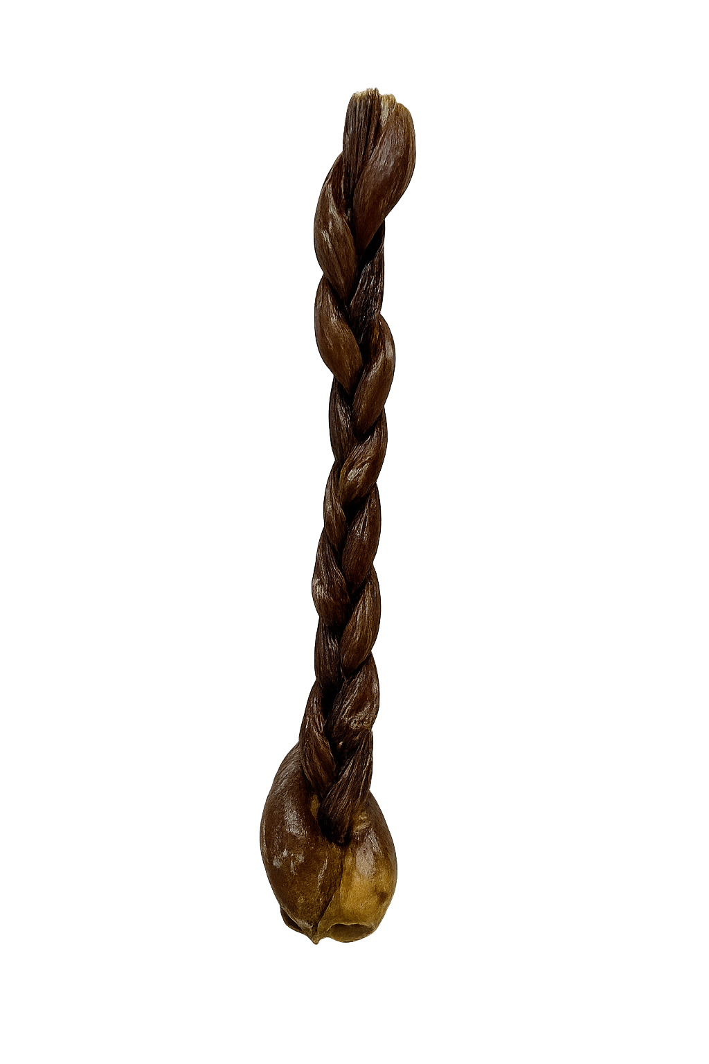 Œsophage de porc tressé 12 po