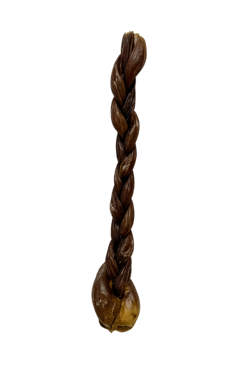 Œsophage de porc tressé 12 po