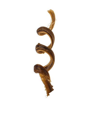 Pizzle de porc spirale 6″